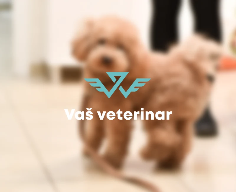 Vetrinar